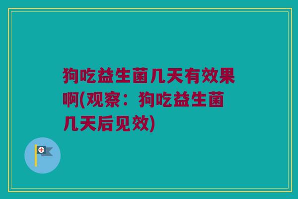 狗吃益生菌几天有效果啊(观察:狗吃益生菌几天后见效) 狗吃益生菌几天有效果啊(观察:狗吃益生菌几天后见效)