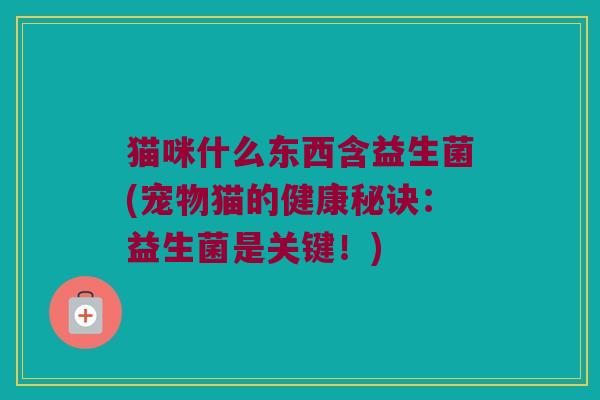 猫咪什么东西含益生菌(宠物猫的健康秘诀：益生菌是关键！)