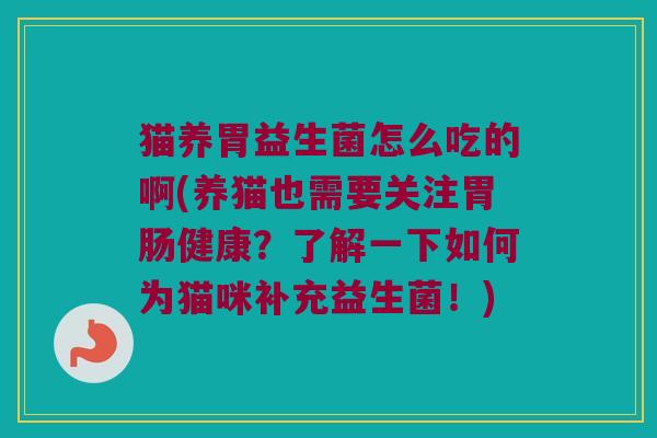 猫养胃益生菌怎么吃的啊(养猫也需要关注胃肠健康？了解一下如何为猫咪补充益生菌！)
