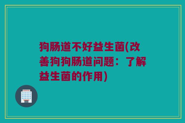 狗肠道不好益生菌(改善狗狗肠道问题：了解益生菌的作用)