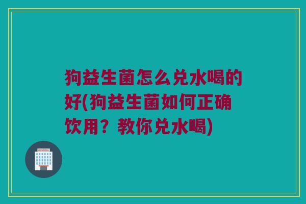 狗益生菌怎么兑水喝的好(狗益生菌如何正确饮用？教你兑水喝)
