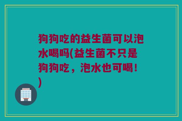 狗狗吃的益生菌可以泡水喝吗(益生菌不只是狗狗吃，泡水也可喝！)