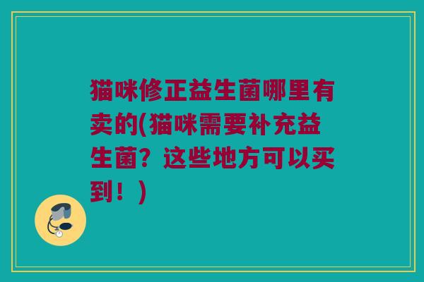 猫咪修正益生菌哪里有卖的(猫咪需要补充益生菌？这些地方可以买到！)