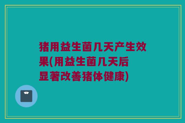猪用益生菌几天产生效果(用益生菌几天后 显著改善猪体健康)