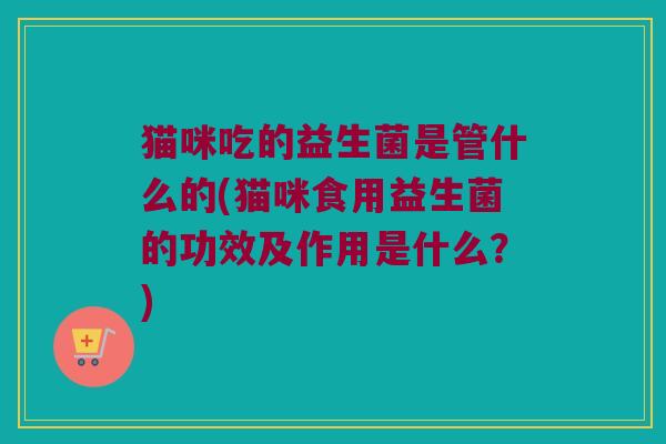 猫咪吃的益生菌是管什么的(猫咪食用益生菌的功效及作用是什么？)