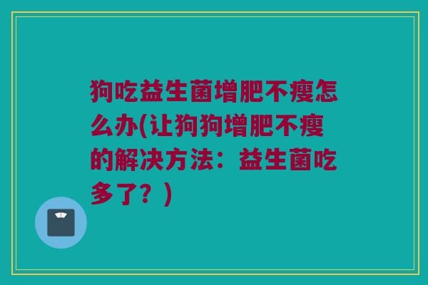 狗吃益生菌增肥不瘦怎么办(让狗狗增肥不瘦的解决方法：益生菌吃多了？)