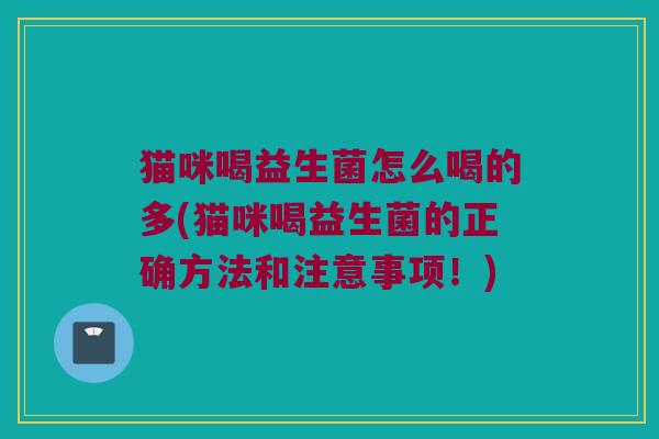 猫咪喝益生菌怎么喝的多(猫咪喝益生菌的正确方法和注意事项！)