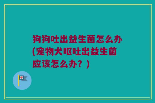 狗狗吐出益生菌怎么办(宠物犬呕吐出益生菌应该怎么办？)