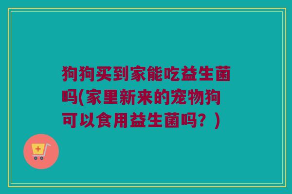 狗狗买到家能吃益生菌吗(家里新来的宠物狗可以食用益生菌吗？)
