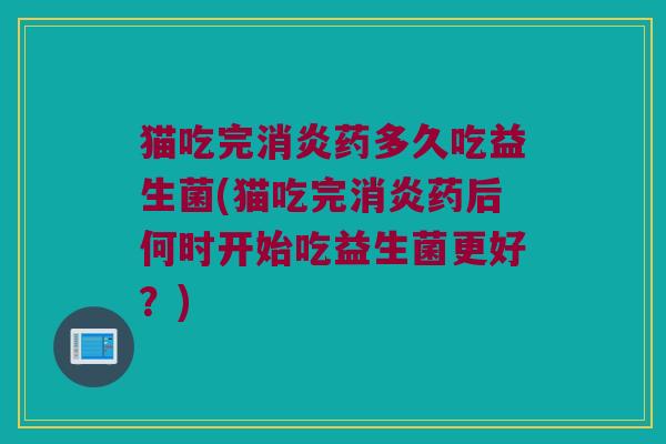 猫吃完消炎药多久吃益生菌(猫吃完消炎药后何时开始吃益生菌更好？)