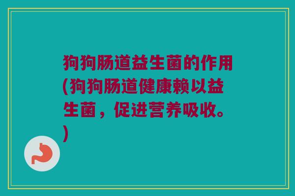 狗狗肠道益生菌的作用(狗狗肠道健康赖以益生菌,促进营养吸收。) 狗狗肠道益生菌的作用(狗狗肠道健康赖以益生菌,促进营养吸收。)