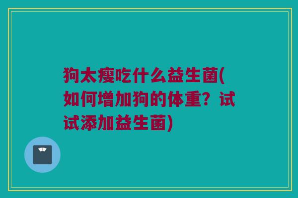 狗太瘦吃什么益生菌(如何增加狗的体重?试试添加益生菌) 狗太瘦吃什么益生菌(如何增加狗的体重?试试添加益生菌)