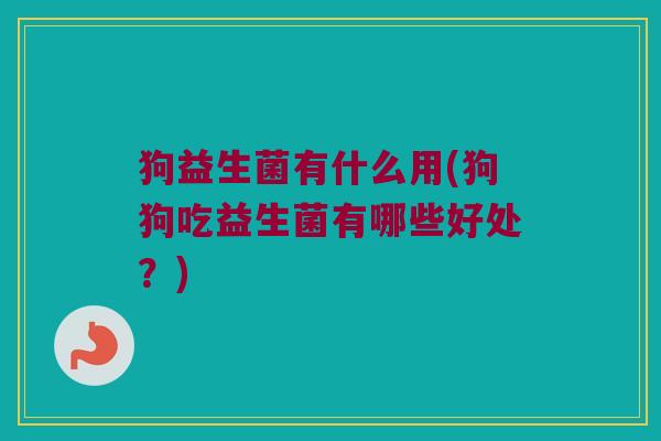 狗益生菌有什么用(狗狗吃益生菌有哪些好处？)