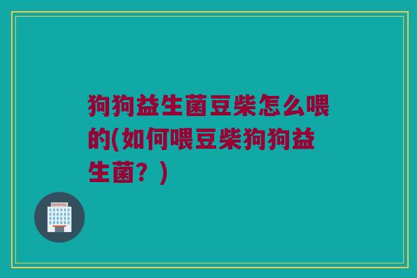 狗狗益生菌豆柴怎么喂的(如何喂豆柴狗狗益生菌?) 狗狗益生菌豆柴怎么喂的(如何喂豆柴狗狗益生菌?)