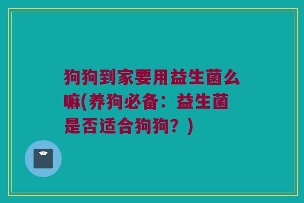 狗狗到家要用益生菌么嘛(养狗必备：益生菌是否适合狗狗？)
