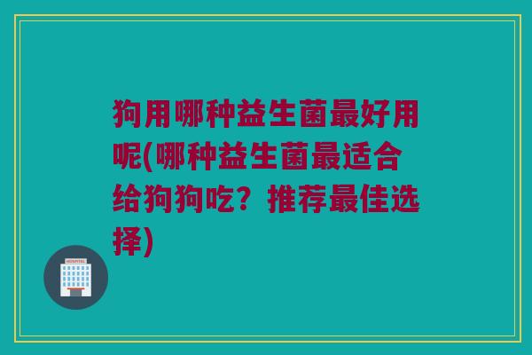 狗用哪种益生菌最好用呢(哪种益生菌最适合给狗狗吃？推荐最佳选择)