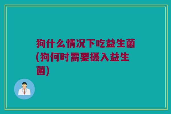 狗什么情况下吃益生菌(狗何时需要摄入益生菌)