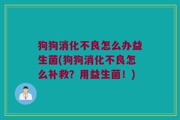 狗狗消化不良怎么办益生菌(狗狗消化不良怎么补救？用益生菌！)