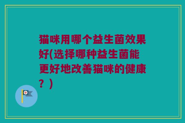 猫咪用哪个益生菌效果好(选择哪种益生菌能更好地改善猫咪的健康？)