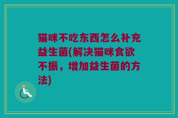 猫咪不吃东西怎么补充益生菌(解决猫咪食欲不振，增加益生菌的方法)