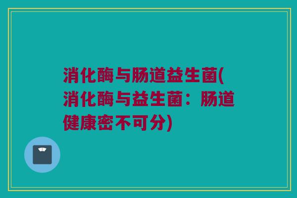 消化酶与肠道益生菌(消化酶与益生菌：肠道健康密不可分)