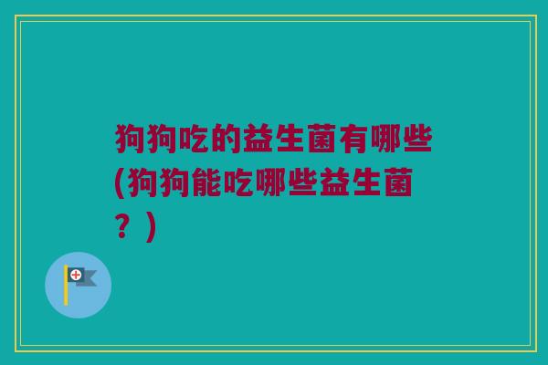 狗狗吃的益生菌有哪些(狗狗能吃哪些益生菌？)