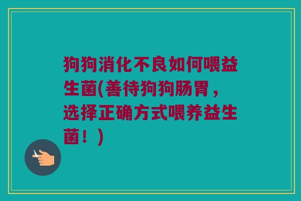 狗狗如何喂益生菌(善待狗狗肠胃,选择正确方式喂养益生菌!) 狗狗如何喂益生菌(善待狗狗肠胃,选择正确方式喂养益生菌!)