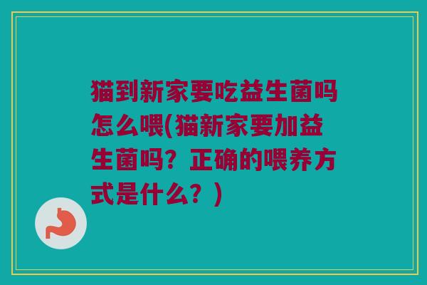 猫到新家要吃益生菌吗怎么喂(猫新家要加益生菌吗？正确的喂养方式是什么？)