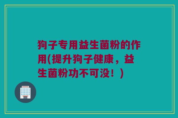 狗子专用益生菌粉的作用(提升狗子健康，益生菌粉功不可没！)