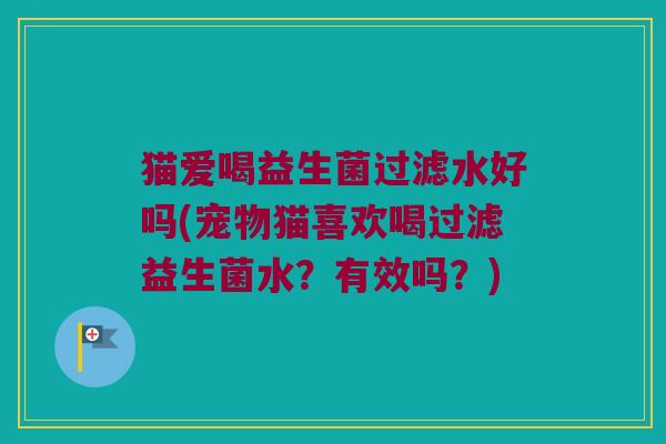 猫爱喝益生菌过滤水好吗(宠物猫喜欢喝过滤益生菌水？有效吗？)