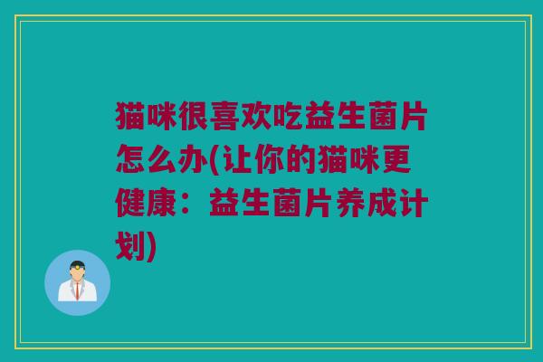 猫咪很喜欢吃益生菌片怎么办(让你的猫咪更健康：益生菌片养成计划)