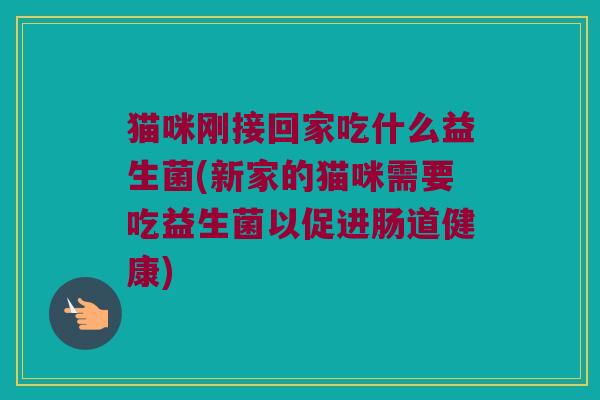 猫咪刚接回家吃什么益生菌(新家的猫咪需要吃益生菌以促进肠道健康)