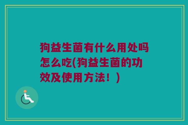 狗益生菌有什么用处吗怎么吃(狗益生菌的功效及使用方法！)