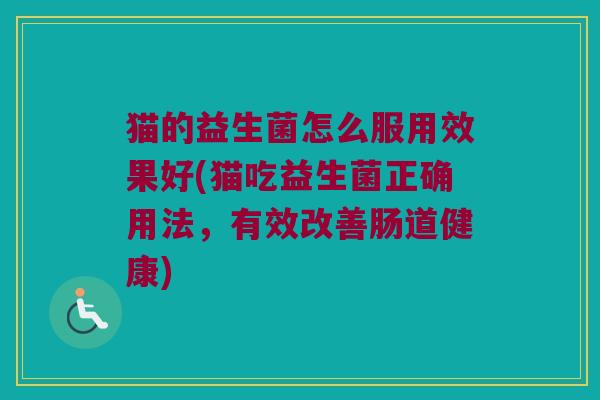 猫的益生菌怎么服用效果好(猫吃益生菌正确用法，有效改善肠道健康)