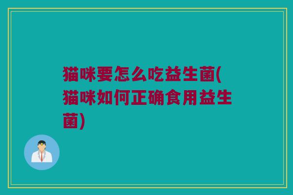 猫咪要怎么吃益生菌(猫咪如何正确食用益生菌)