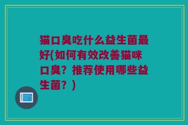 猫口臭吃什么益生菌最好(如何有效改善猫咪口臭？推荐使用哪些益生菌？)