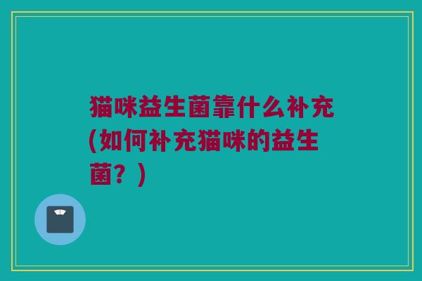 猫咪益生菌靠什么补充(如何补充猫咪的益生菌？)