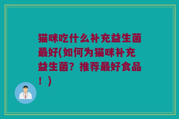 猫咪吃什么补充益生菌最好(如何为猫咪补充益生菌？推荐最好食品！)