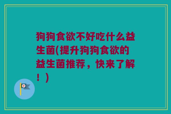 狗狗食欲不好吃什么益生菌(提升狗狗食欲的益生菌推荐，快来了解！)