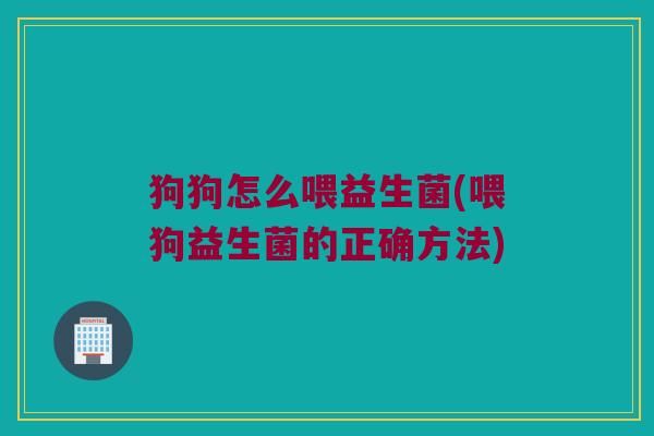 狗狗怎么喂益生菌(喂狗益生菌的正确方法)