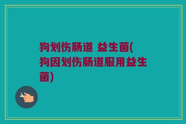 狗划伤肠道 益生菌(狗因划伤肠道服用益生菌)