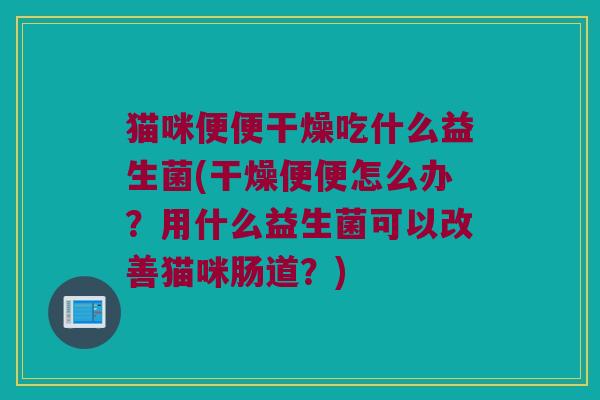 猫咪便便干燥吃什么益生菌(干燥便便怎么办？用什么益生菌可以改善猫咪肠道？)