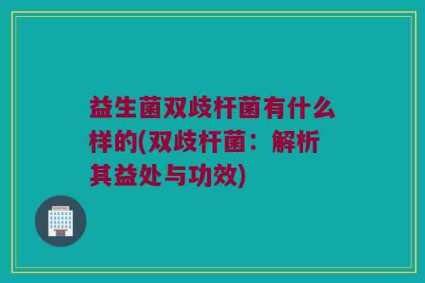 益生菌双歧杆菌有什么样的(双歧杆菌：解析其益处与功效)