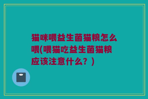 猫咪喂益生菌猫粮怎么喂(喂猫吃益生菌猫粮应该注意什么？)