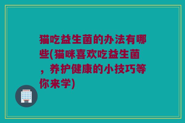 猫吃益生菌的办法有哪些(猫咪喜欢吃益生菌，养护健康的小技巧等你来学)