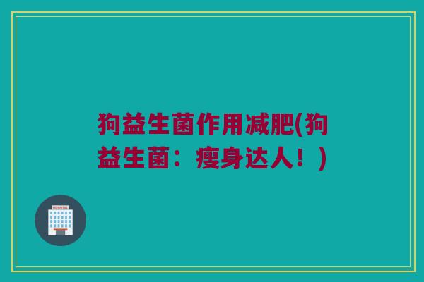 狗益生菌作用减肥(狗益生菌：瘦身达人！)