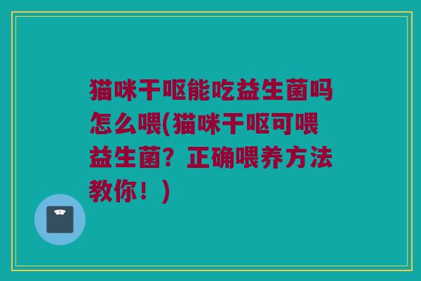 猫咪干呕能吃益生菌吗怎么喂(猫咪干呕可喂益生菌？正确喂养方法教你！)