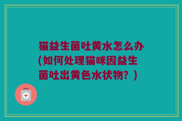 猫益生菌吐黄水怎么办(如何处理猫咪因益生菌吐出黄色水状物？)