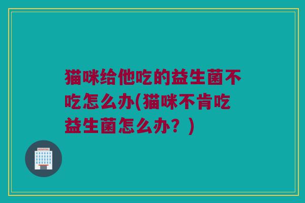 猫咪给他吃的益生菌不吃怎么办(猫咪不肯吃益生菌怎么办？)