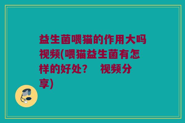 益生菌喂猫的作用大吗视频(喂猫益生菌有怎样的好处？  视频分享)